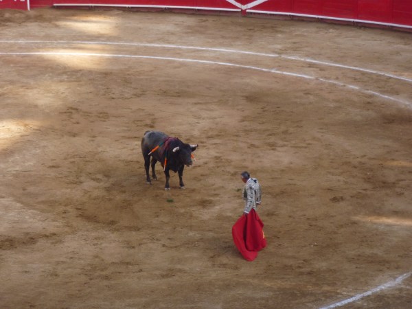 Rodolfo “El Pana” Rodriguez in his final performance at Guadalajara’s Nuevo Progreso Plaza de Toros. P1010470