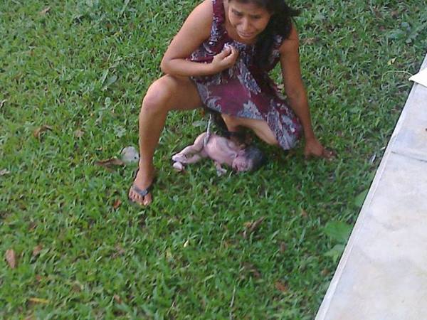 Irma Lopez Aurelio gave birth without medical assistance on a hospital lawn in Oaxaca last Wednesday. Irma-Lopez-Aurelio