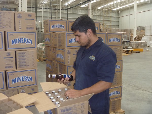 Minerva factory worker