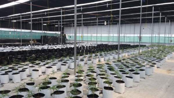 FOTO BOLETÍN 409 (1)