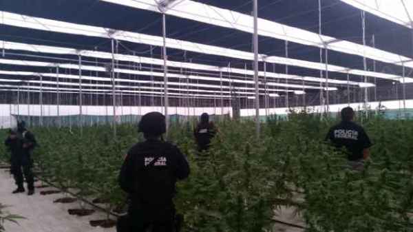 FOTO BOLETÍN 409 (4)