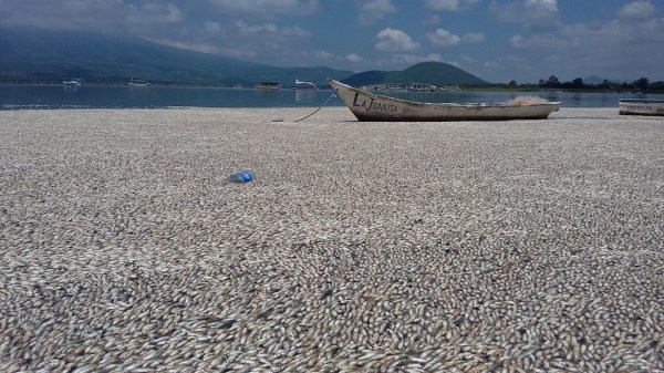 20150817_122413-1024x576