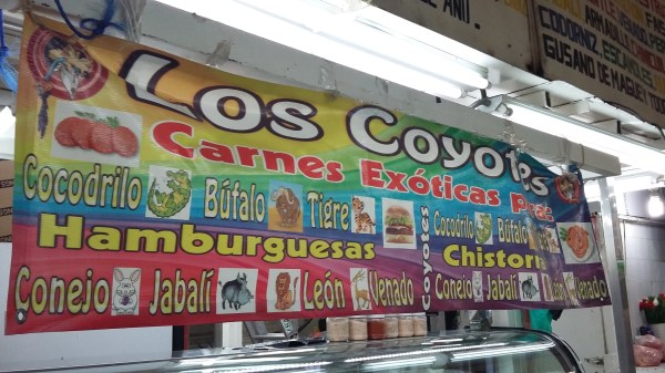 Los Coyotes sells lion and tiger burgers for 100 pesos ($6) each. 